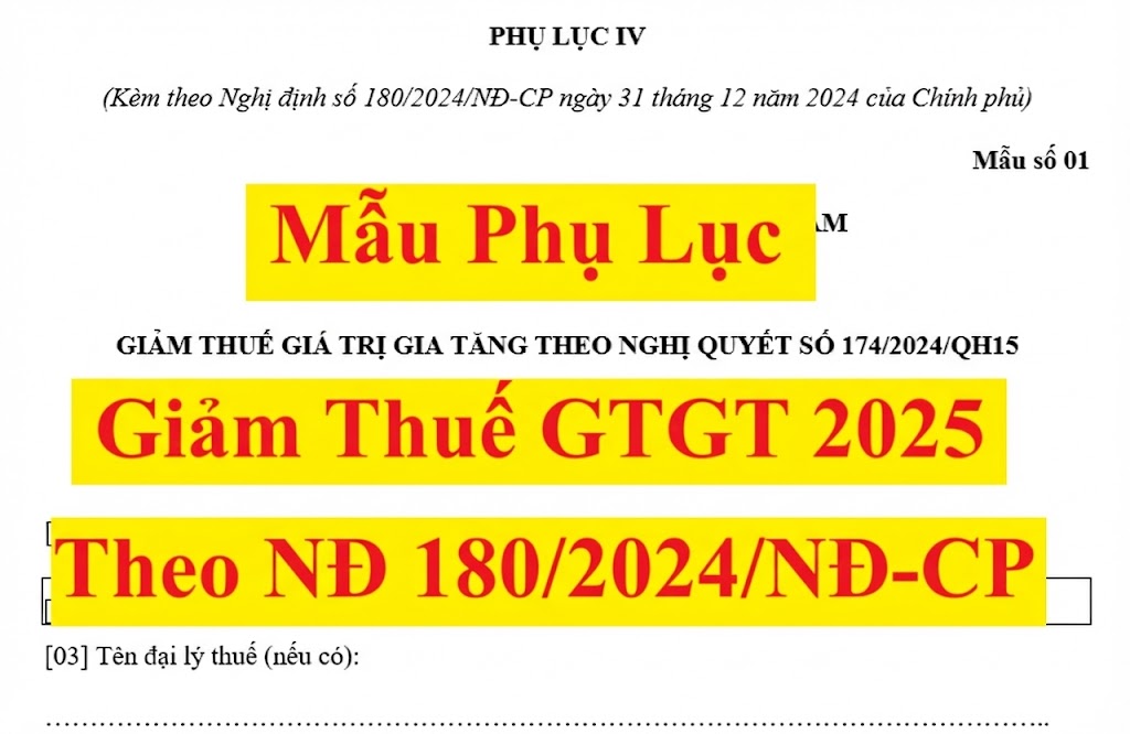 Mẫu phụ lục giảm thuế GTGT 2025 theo Nghị quyết 174/2024/QH15