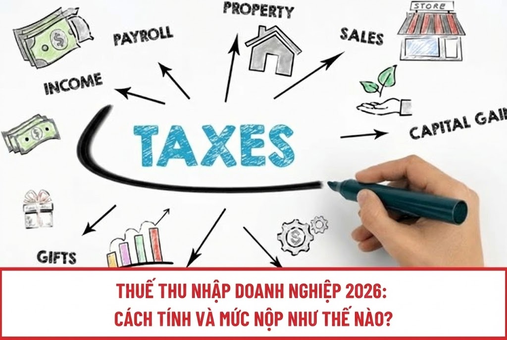 Thuế thu nhập doanh nghiệp 2026 cách tính và mức nộp như thế nào?