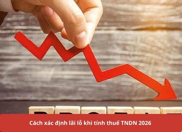 Cách xác định lãi lỗ khi tính thuế TNDN 2026