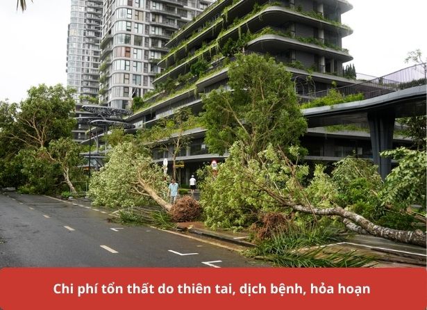 Chi phí tổn thất do thiên tai, dịch bệnh, hỏa hoạn