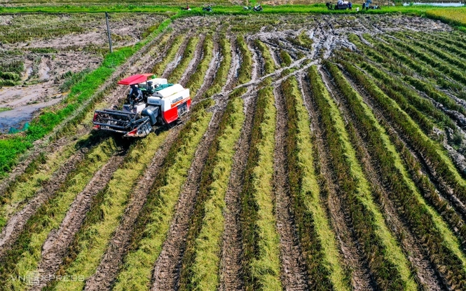 15 nhóm hành vi vi phạm của người sử dụng đất bị tiếp nhận xử lý từ 13/02/2026