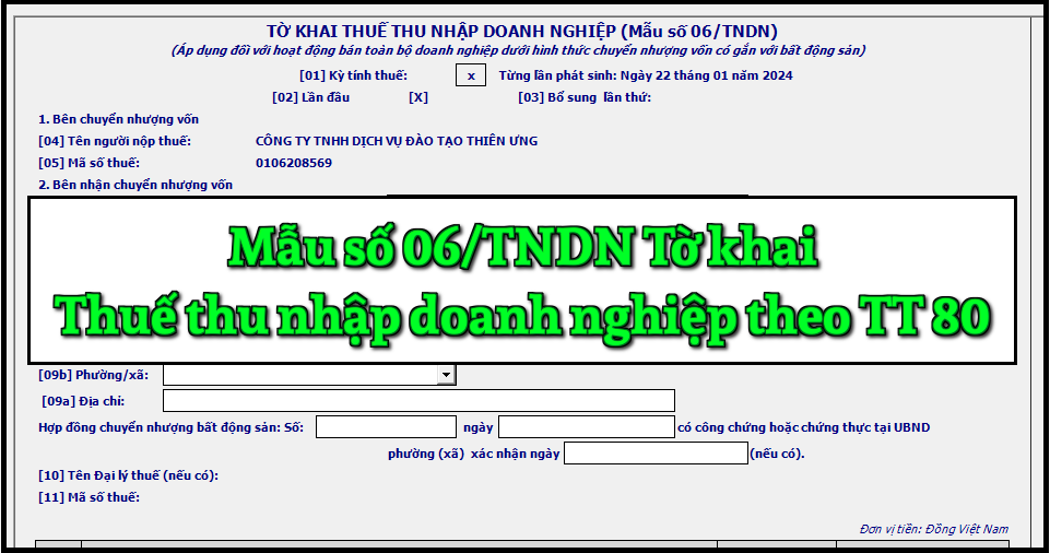 Mẫu số 06/TNDN Tờ khai thuế thu nhập doanh nghiệp theo TT 80/2021