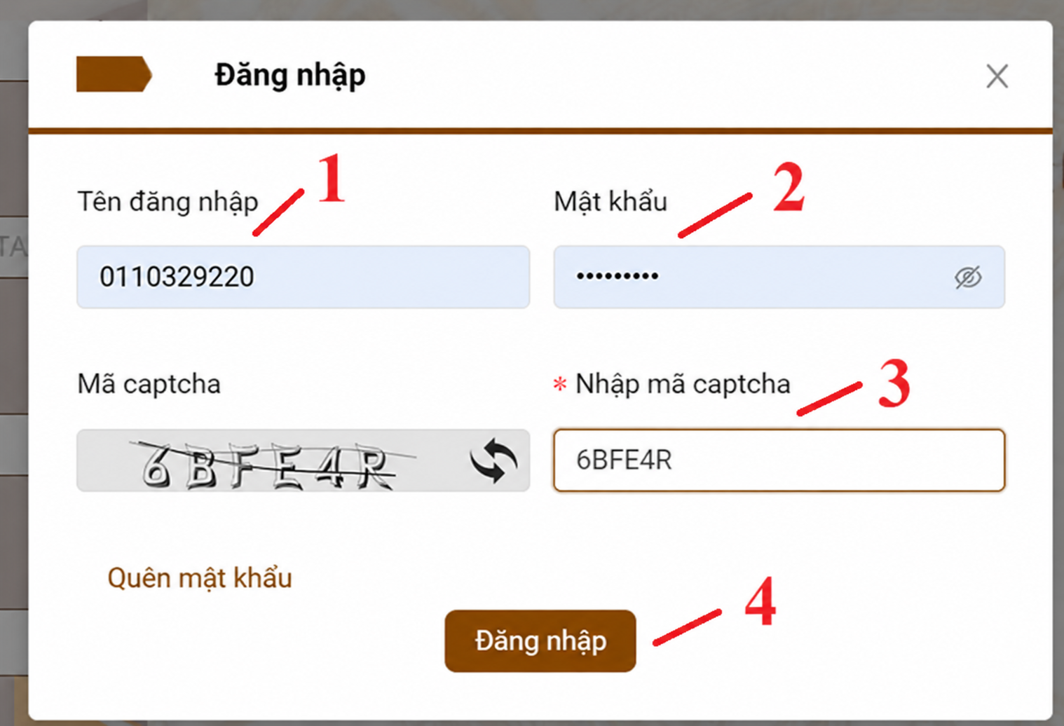 Đăng nhập vào hệ thống hóa đơn điện tử